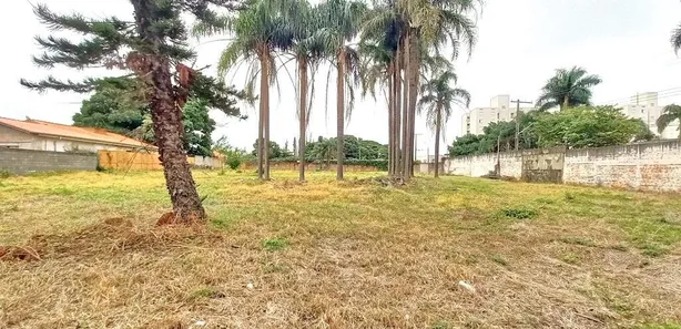 Terreno / Lote / Condomínio para alugar, 3095m² no Chácaras Antonieta, Limeira