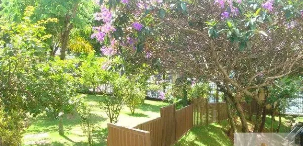 Apartamento com 2 Quartos à venda, 49m² no Vila Parque Jabaquara, São Paulo