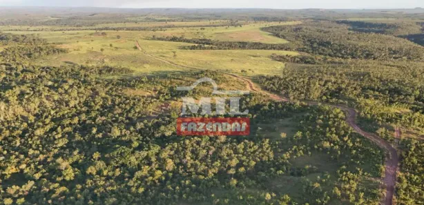 Fazenda / Sítio / Chácara à venda, 500m² no Setor Central, Ponte Alta do Tocantins