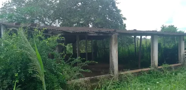 Fazenda / Sítio / Chácara com 4 Quartos à venda, 40000m² no , Feira Nova