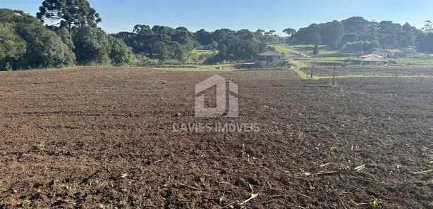 Fazenda / Sítio / Chácara com 6 Quartos à venda, 53000m² no Cachoeira, São José dos Pinhais
