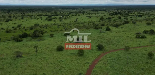 Fazenda / Sítio / Chácara à venda, 500m² no Centro, Formosa