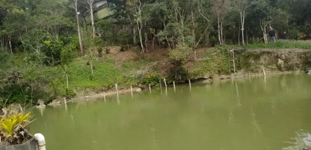 Terreno / Lote / Condomínio à venda, 4250m² no , Campina Grande do Sul