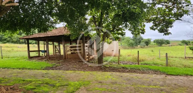 Fazenda / Sítio / Chácara à venda, 235m² no , Nerópolis