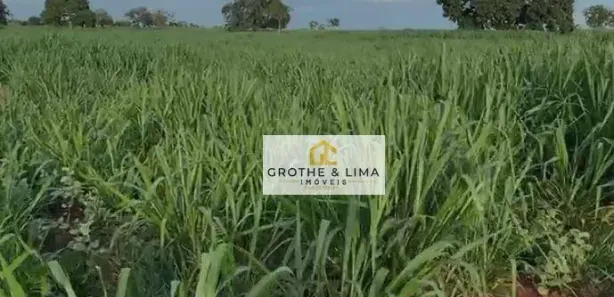 Fazenda / Sítio / Chácara com 5 Quartos à venda, 800m² no Padre Bernardo, Padre Bernardo