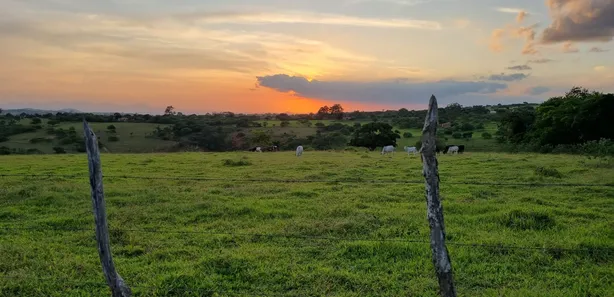 Fazenda / Sítio / Chácara com 3 Quartos à venda, 14000000m² no Riachão, Caruaru