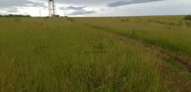Fazenda / Sítio / Chácara com 2 Quartos à venda, 100m² no , Piedade
