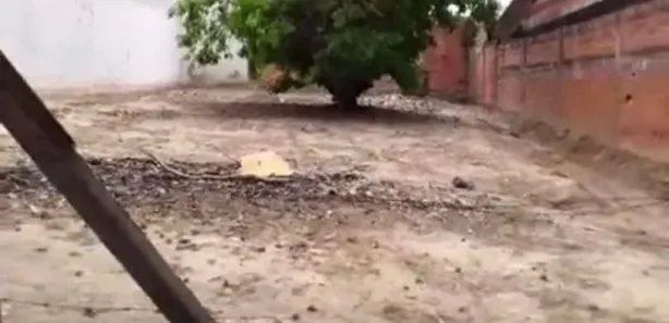Terreno / Lote / Condomínio à venda, 250m² no Jardim Santa Rita de Cássia, Capivari