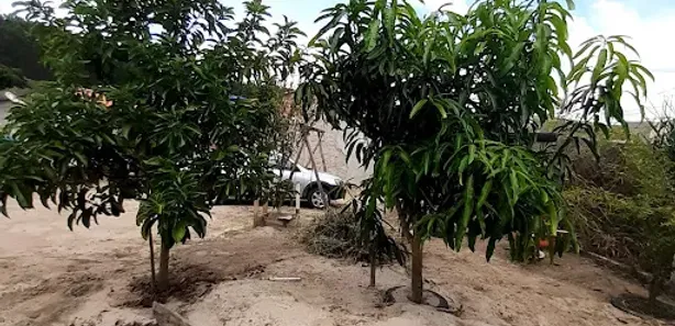 Fazenda / Sítio / Chácara com 1 Quarto à venda, 90m² no Pau D'Alhinho, Piracicaba