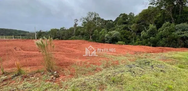 Terreno / Lote / Condomínio à venda, 502m² no , Campina Grande do Sul