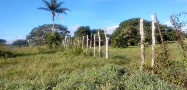Fazenda / Sítio / Chácara à venda, 23500m² no Alpes Suiços, Gravatá