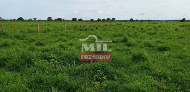 Fazenda / Sítio / Chácara à venda, 500m² no , Formoso do Araguaia
