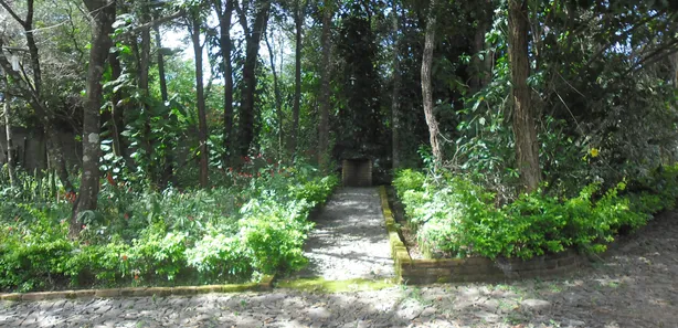 Fazenda / Sítio / Chácara com 3 Quartos à venda, 1540m² no , Capim Branco