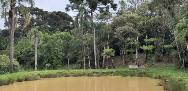 Fazenda / Sítio / Chácara com 4 Quartos à venda, 15000m² no , Tijucas do Sul