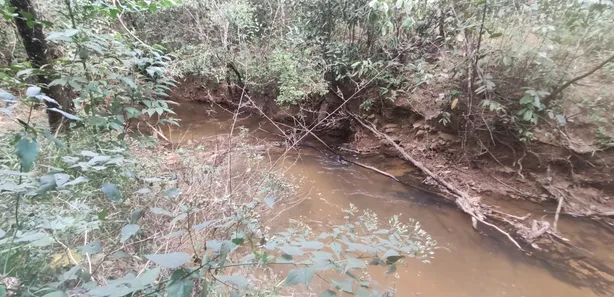 Fazenda / Sítio / Chácara com 4 Quartos à venda, 20000m² no , Brasília