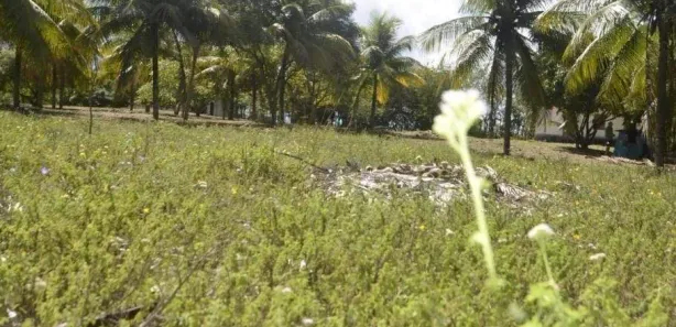 Terreno / Lote / Condomínio à venda, 7m² no Aruana, Aracaju