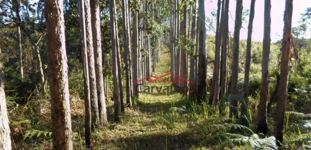 Fazenda / Sítio / Chácara com 5 Quartos à venda, 200m² no , Igaratá