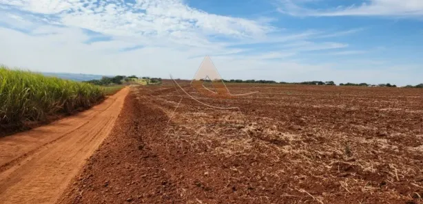 Fazenda / Sítio / Chácara com 1 Quarto à venda, 1452000m² no Jardim Quitandinha, Araraquara