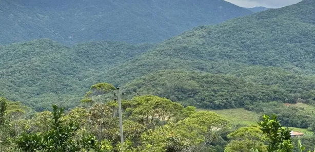 Fazenda / Sítio / Chácara com 6 Quartos à venda, 13000m² no Vargem Grande, Águas Mornas