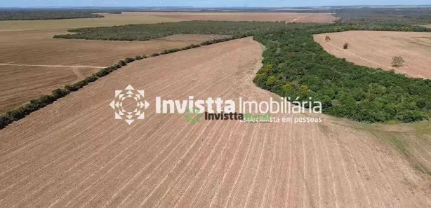 Fazenda / Sítio / Chácara à venda, 1000m² no Setor Central, Pedro Afonso