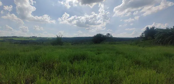Fazenda / Sítio / Chácara à venda, 1000m² no Área Rural de Rio das Pedras, Rio das Pedras
