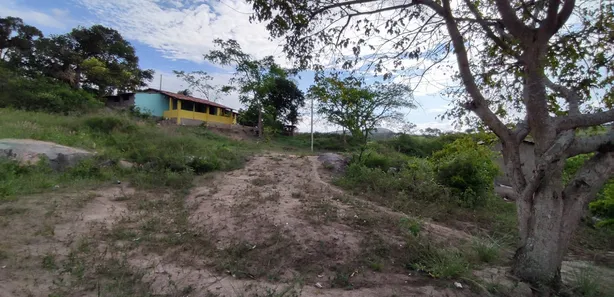 Fazenda / Sítio / Chácara com 3 Quartos à venda, 90000m² no Alpes Suiços, Gravatá