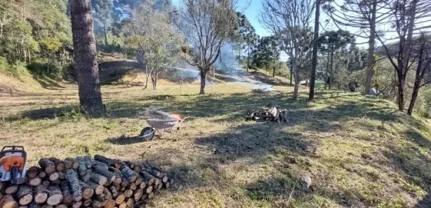 Fazenda / Sítio / Chácara com 3 Quartos à venda, 250m² no Rio Branco do Sul, Rio Branco do Sul