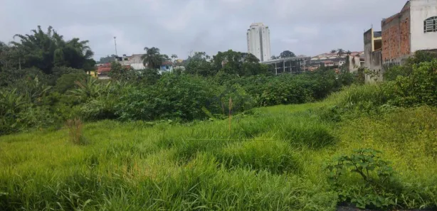 Terreno / Lote / Condomínio à venda, 6049m² no Jardim Rodrigues Alves, Ferraz de Vasconcelos