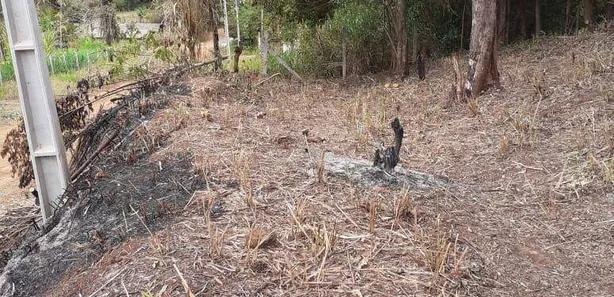 Fazenda / Sítio / Chácara à venda, 3000m² no Condomínio Horizontal Marajoara, Ibiporã