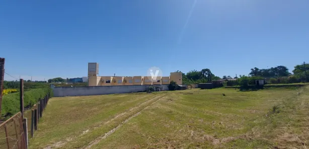 Prédio Inteiro com 18 Quartos à venda, 1412m² no Pinheiro Machado, Santa Maria