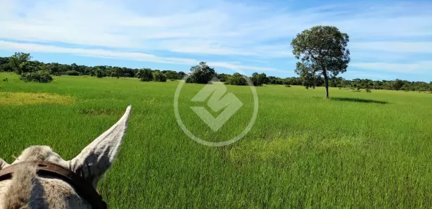 Fazenda / Sítio / Chácara à venda, 280m² no Rua Rio Formoso, Formoso do Araguaia