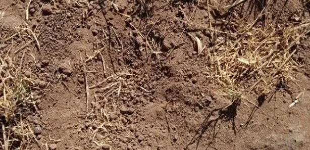 Fazenda / Sítio / Chácara à venda, 72600000m² no Javaés, Lagoa da Confusão