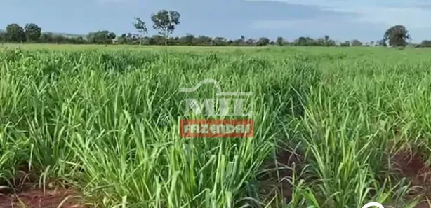 Fazenda / Sítio / Chácara à venda, 500m² no , Lagoa Santa