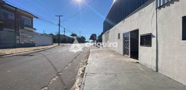 Galpão / Depósito / Armazém para alugar, 250m² no Colônia Dona Luíza, Ponta Grossa