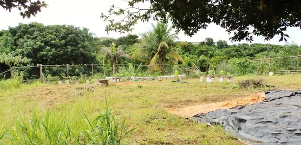 Terreno / Lote / Condomínio para alugar, 4250m² no Jardim Celina, Limeira