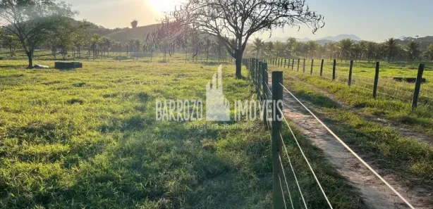Fazenda / Sítio / Chácara com 3 Quartos à venda, 450000m² no Papucaia, Cachoeiras de Macacu