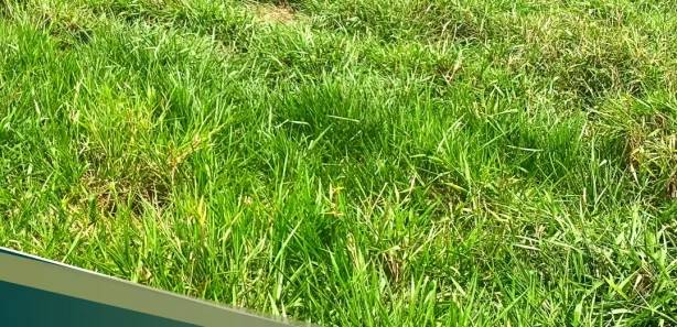 Fazenda / Sítio / Chácara com 3 Quartos à venda, 500000m² no Centro, Nossa Senhora das Dores