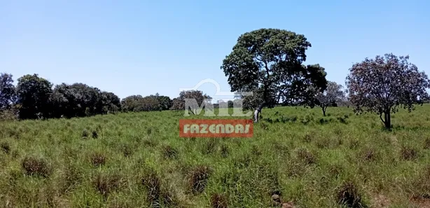 Fazenda / Sítio / Chácara à venda, 500m² no , Pium