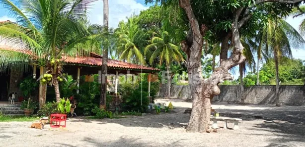 Fazenda / Sítio / Chácara com 4 Quartos para venda ou aluguel, 3900m² no , Aquiraz