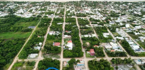 Terreno / Lote / Condomínio à venda, 600m² no , Prado