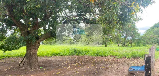 Fazenda / Sítio / Chácara com 3 Quartos à venda, 320m² no Residencial Jardim América, Gurupi