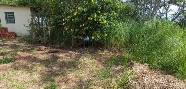 Fazenda / Sítio / Chácara com 4 Quartos à venda, 19745m² no Bonanza, Santa Luzia