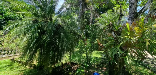 Fazenda / Sítio / Chácara com 3 Quartos à venda, 13500m² no Loteamento Colina do Conde, Cachoeiras de Macacu