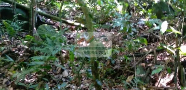 Fazenda / Sítio / Chácara à venda, 54000m² no , Rio Bonito