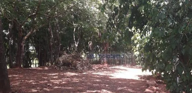 Fazenda / Sítio / Chácara com 6 Quartos à venda, 250m² no Centro, Alvorada do Sul