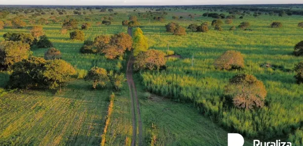 Fazenda / Sítio / Chácara à venda, 902m² no , Pium