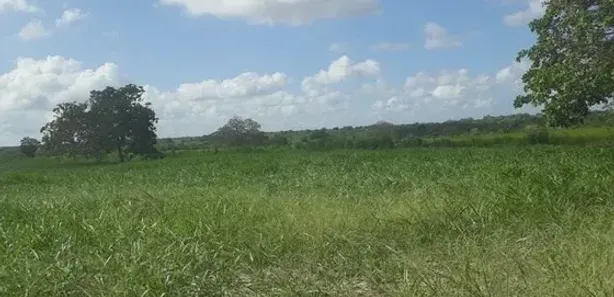 Fazenda / Sítio / Chácara com 3 Quartos à venda, 960000m² no , Vera Cruz