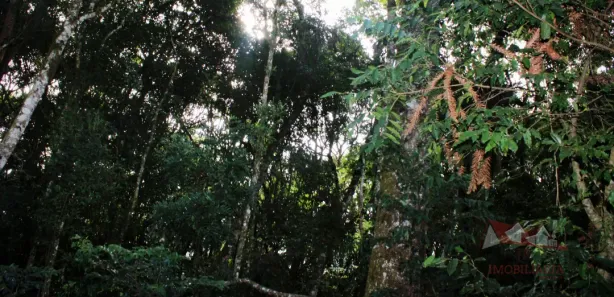 Fazenda / Sítio / Chácara à venda, 20600m² no Área Rural de Fazenda Rio Grande, Fazenda Rio Grande