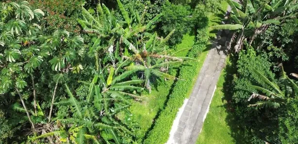 Terreno / Lote / Condomínio à venda, 1153m² no Castelanea, Petrópolis