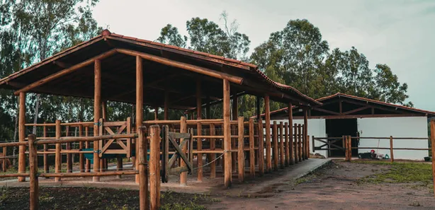 Fazenda / Sítio / Chácara à venda, 350000m² no Centro, Chã Grande